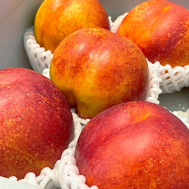 和歌山産 小柳農園の秀峰（ネクタリン） 4kg箱（5Lサイズ／12玉入